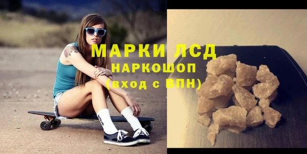 индика Алексин