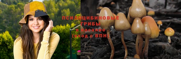 кокс Осинники