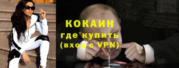 индика Алексин
