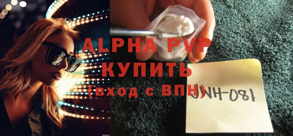 индика Алексин