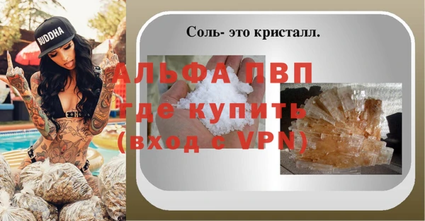 индика Алексин